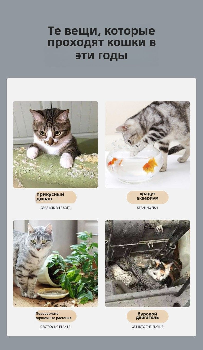 Коврики с шипами для защиты от кошек 5 шт купить на OZON по низкой цене ...