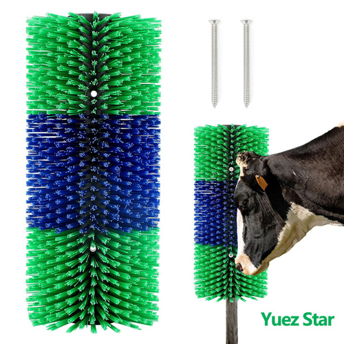 Тамақтағы ұзын мүше видео