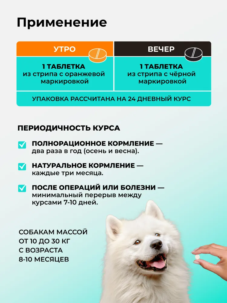Витамины для собак средних размеров (10-30 кг), Биоритм, VEDA, 30 кг, фото 6