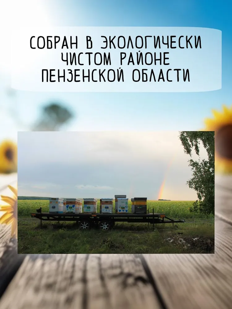 Мед подсолнечный натуральный 700 г в стеклянной банке, 700 г, фото 3