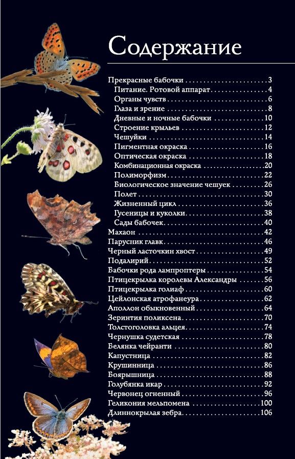 Бабочки. Иллюстрированный гид | Butterflies. Illustrated Guide - Ozon image 5