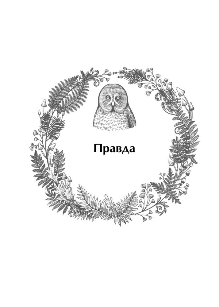 Ответы мудрой совы | Answers of the Wise Owl - Ozon image 7