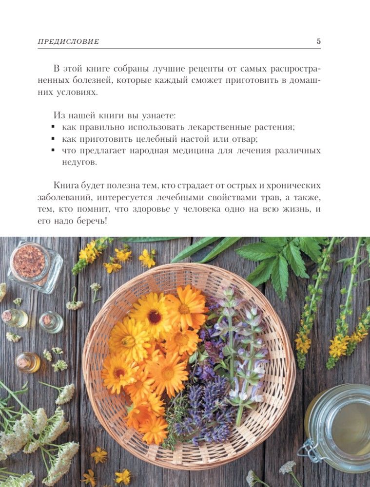 РАСТЕНИЯ ОТ ВСЕХ БОЛЕЗНЕЙ. Иллюстрированный атлас | Plants for All Diseases: An Illustrated Atlas - Ozon image 6