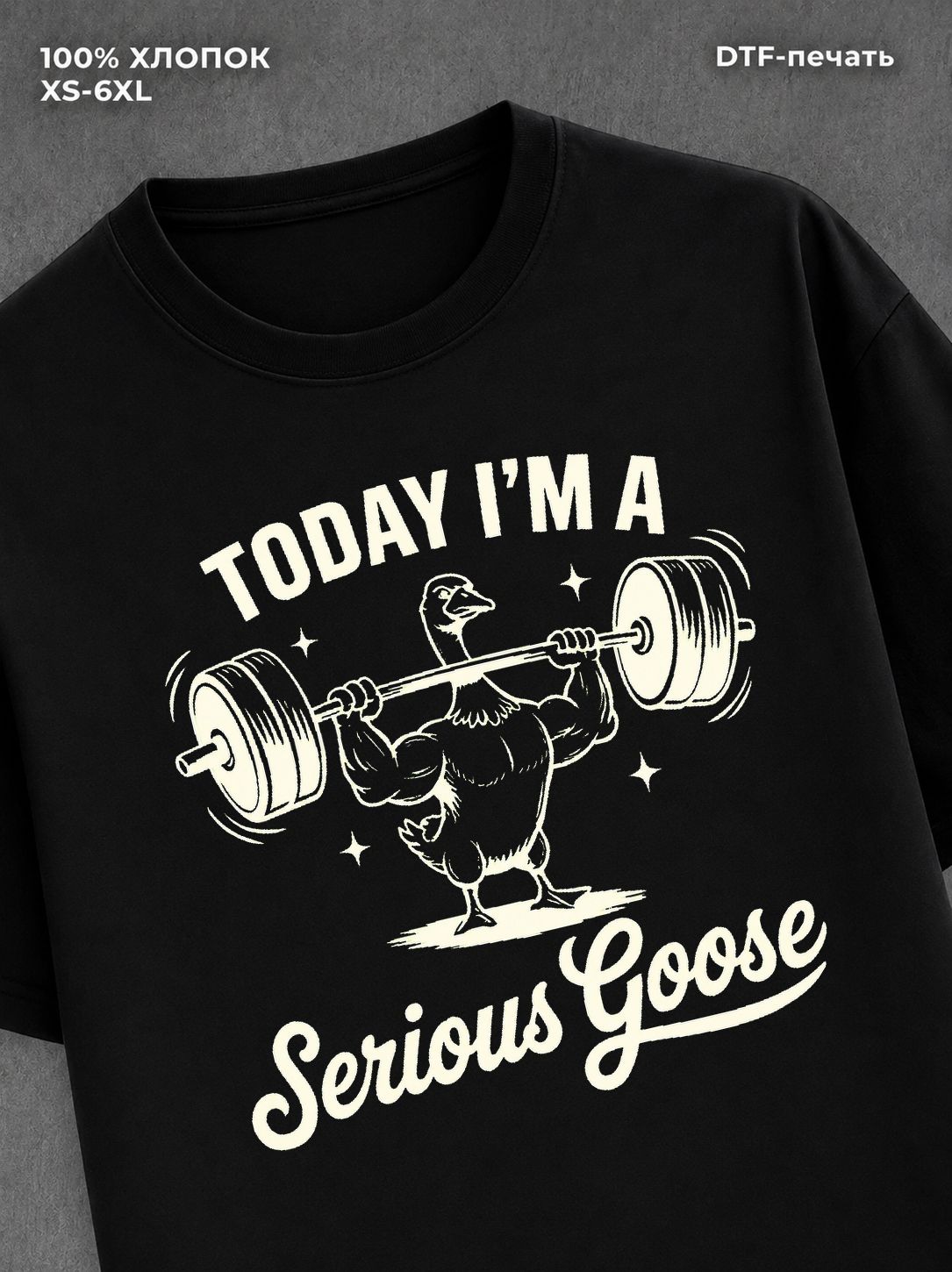 Футболка Serious Goose
