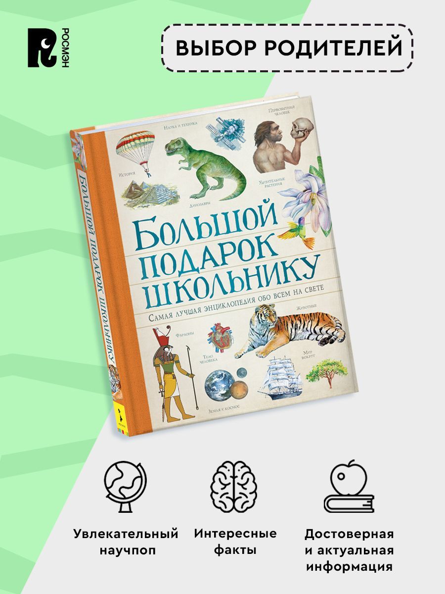 Большой подарок школьнику | A Great Gift for a Schoolchild - Ozon image 2