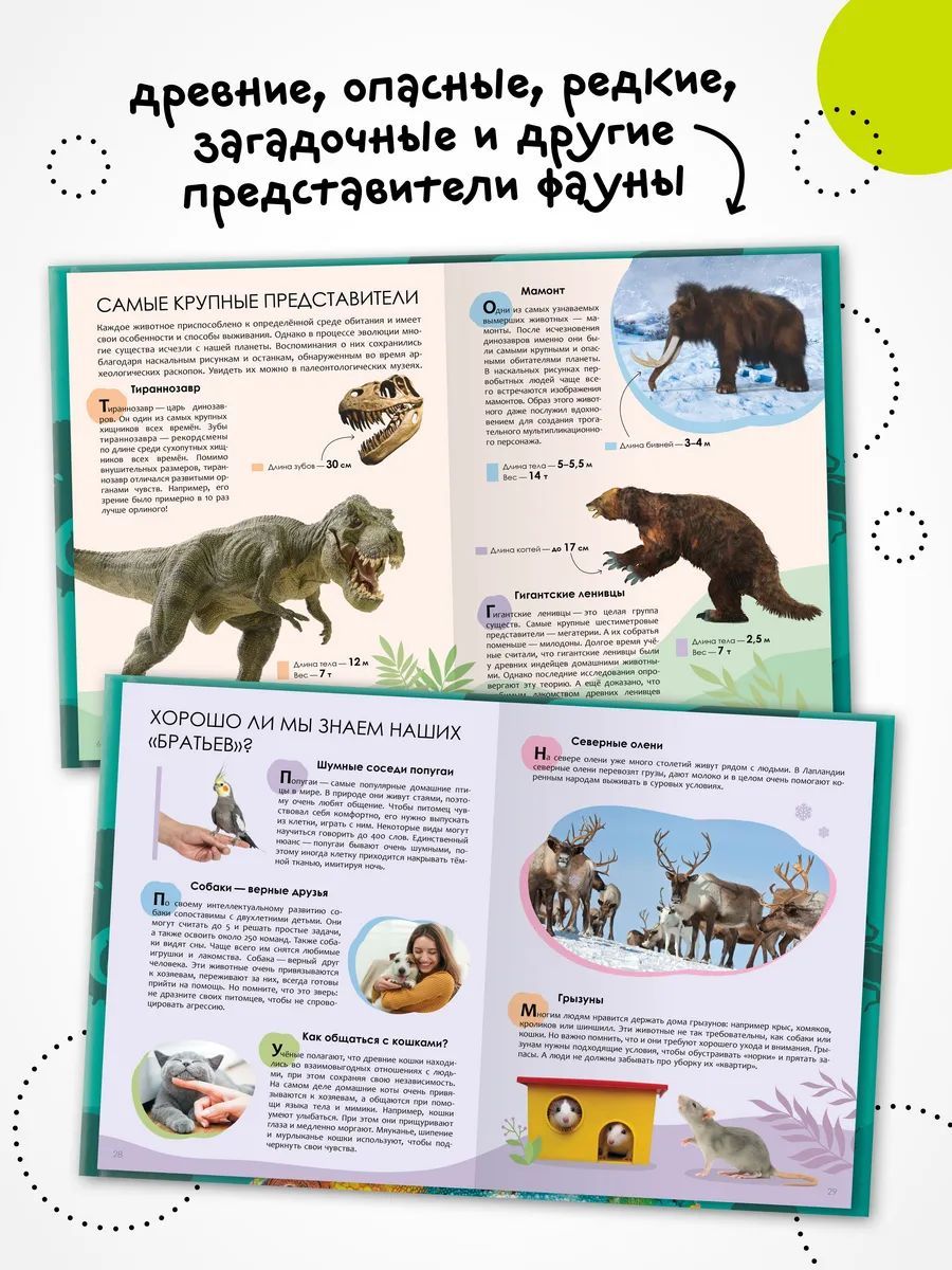 Энциклопедия для школьника 7+. Познавательная, развивающая книга для детей. Подарок ребенку | Encyclopedia for 7+ Schoolchildren. Educational Book About Animals - Ozon image 4