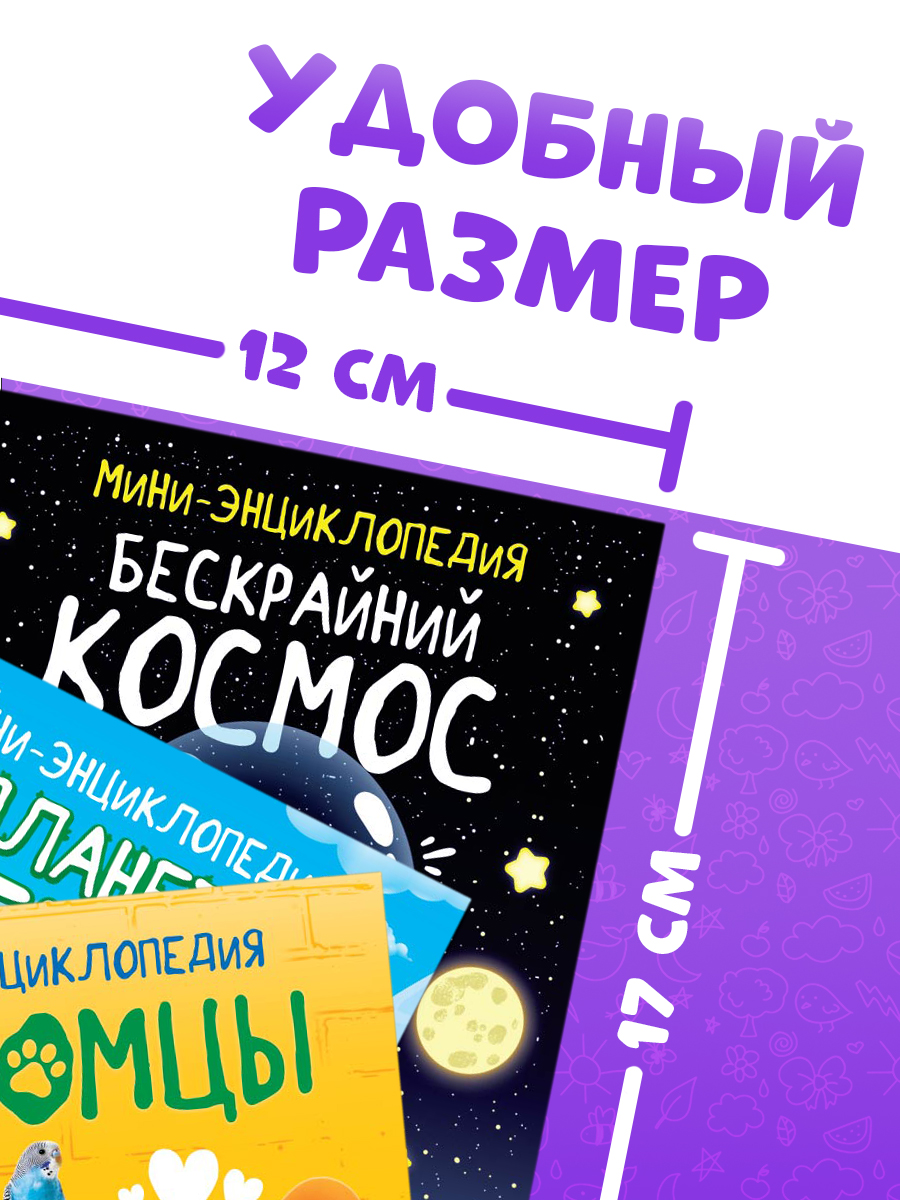 Книги для детей, Буква Ленд МиМиМишки "Изучаем мир", набор 6 шт. по 20 стр., энциклопедия для детей | Reference Book - Ozon image 4