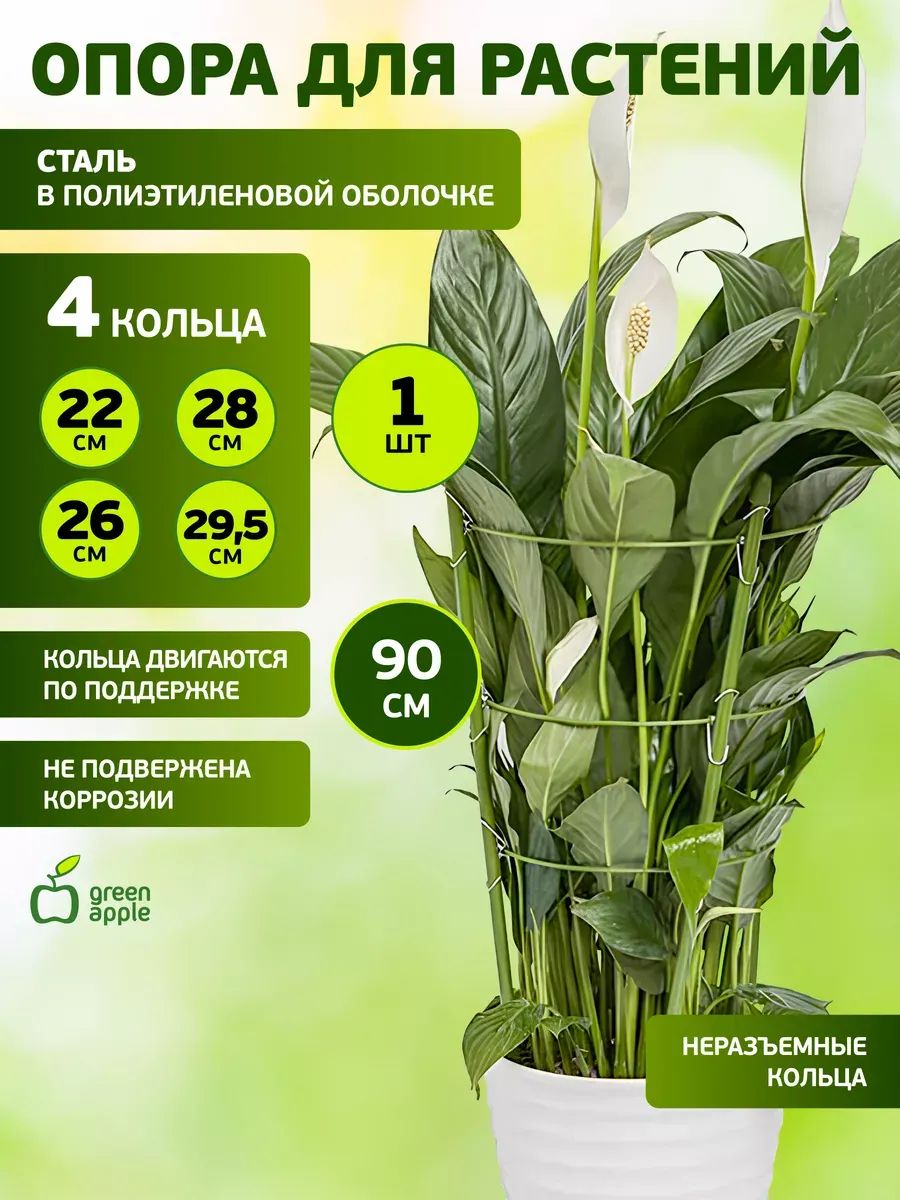 Опорадляцветоввгоршок