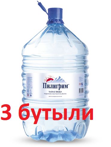 ПилигримВодаПитьеваяНегазированная19000мл.3шт