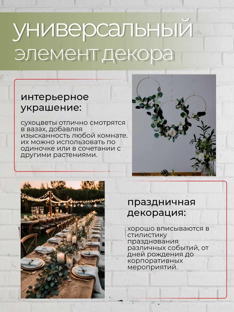 Эвкалипт парфиволия стабилизированный зеленый 60-65cm SJ-4 Китай