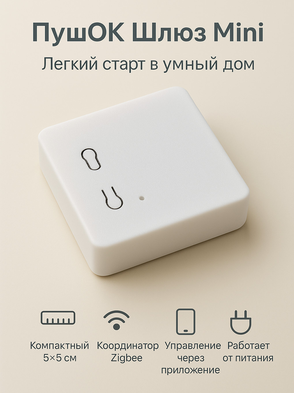 ZigBee-шлюз ПушОк
