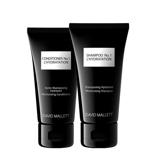 DAVID MALLETT Travel Kit Duo - тревел набор средств для волос 2*50 мл купить