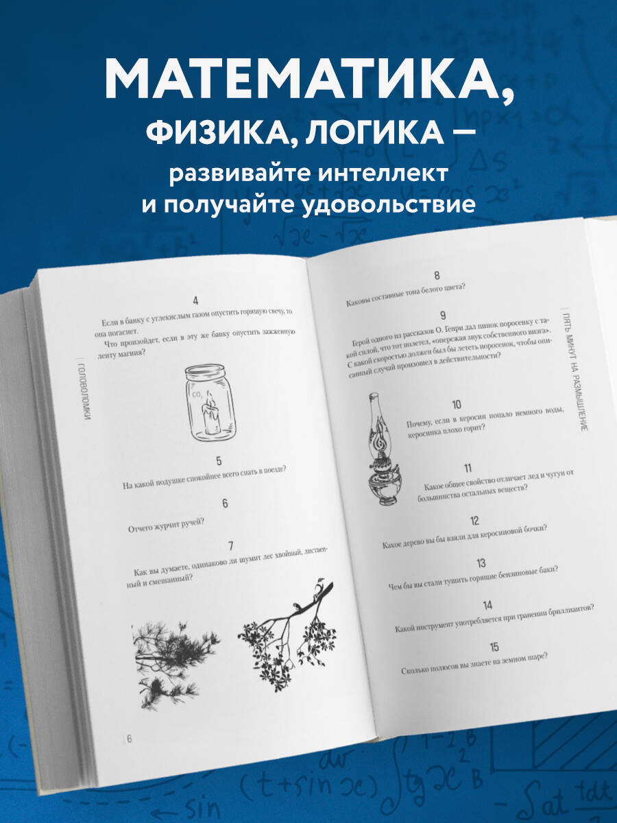 Занимательные головоломки. Новое оформление | Entertaining Puzzles. New Design - Ozon image 1