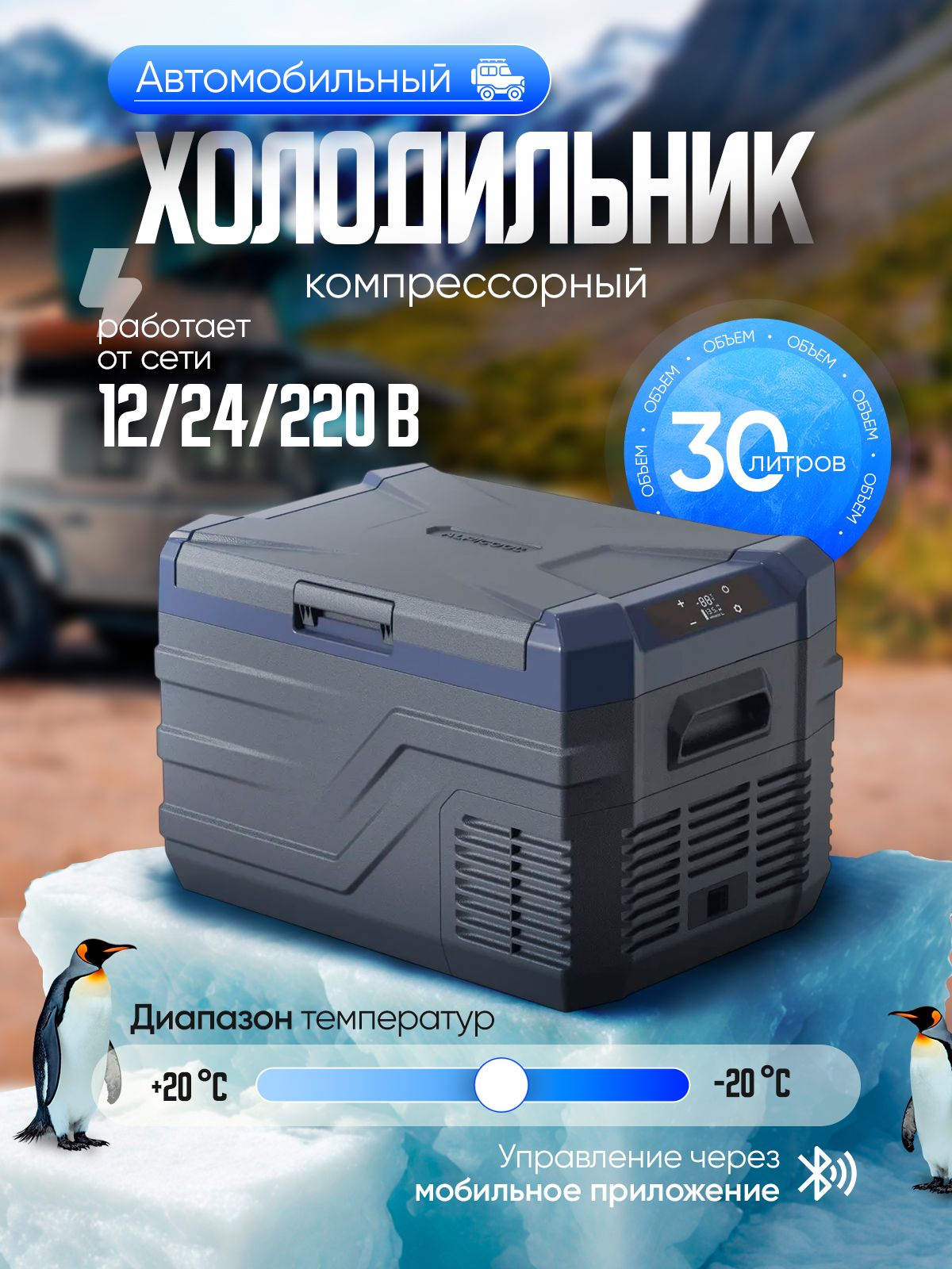 7705675118.jpg