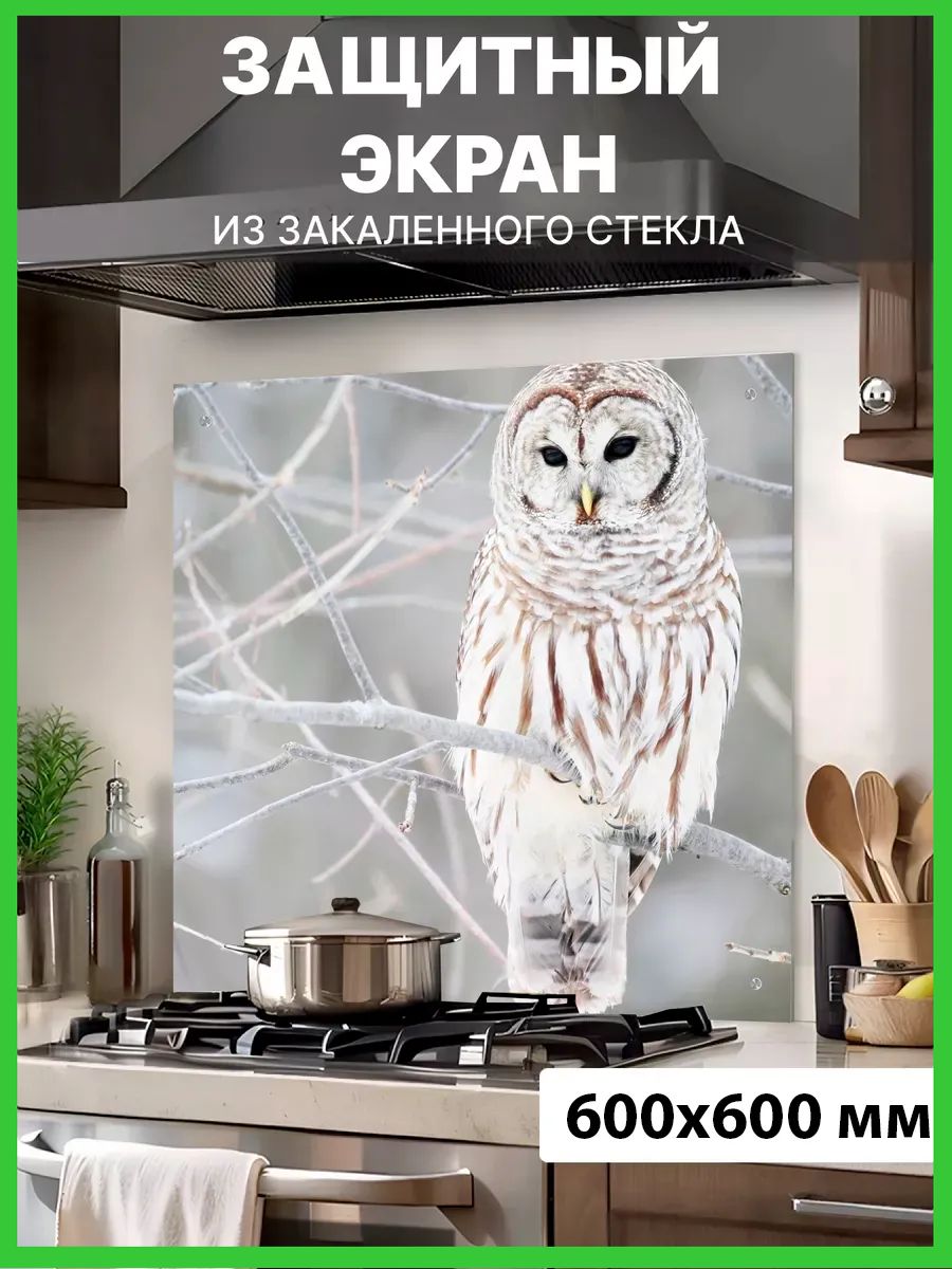 Защитныйэкрандляплитыотбрызг600x600ммиззакаленногостекласУФ-фотопечатью"Сова".Фартукдлякухнинастену