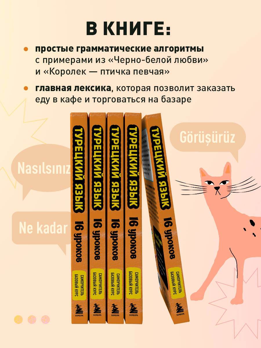 Турецкий язык, 16 уроков. Базовый курс | Turkish Language, 16 Lessons. Basic Course - Ozon image 2
