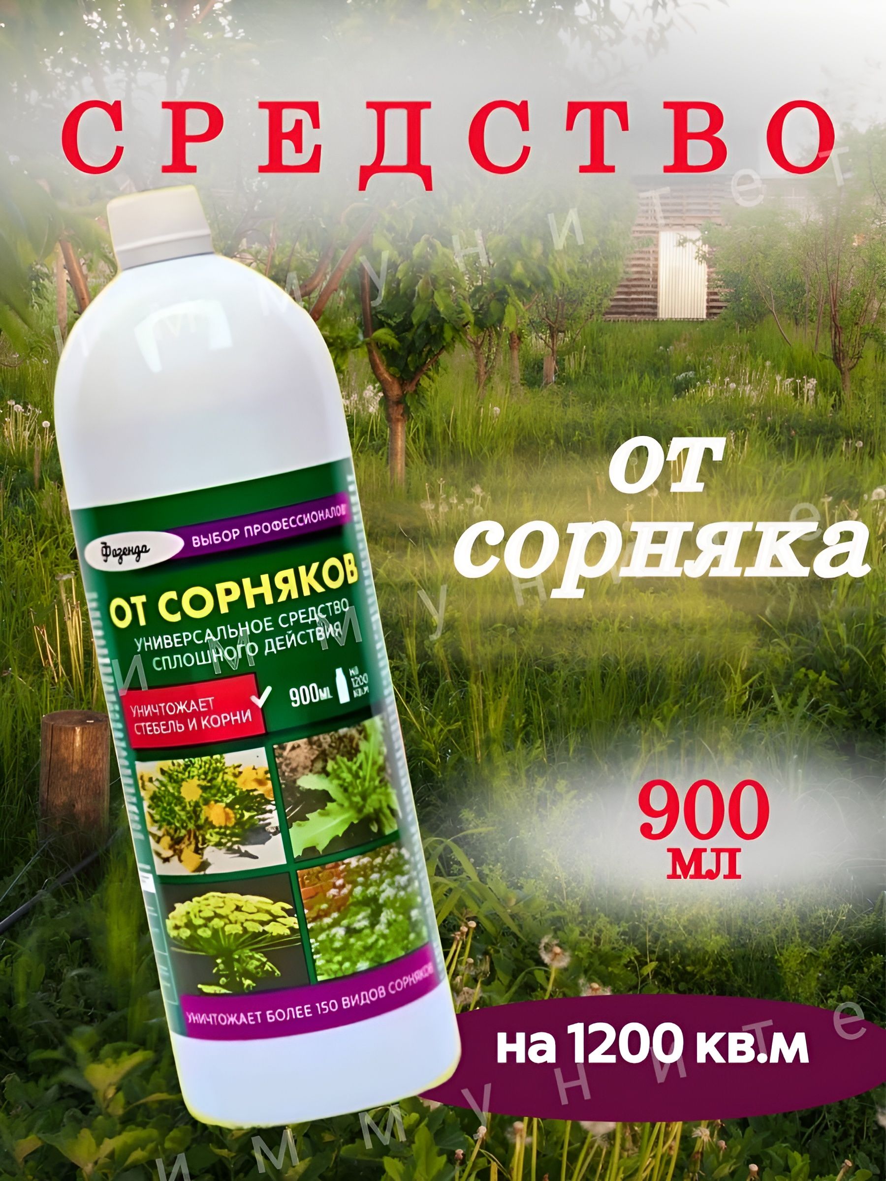 Орынборда тіркеусіз жыныстық қатынас