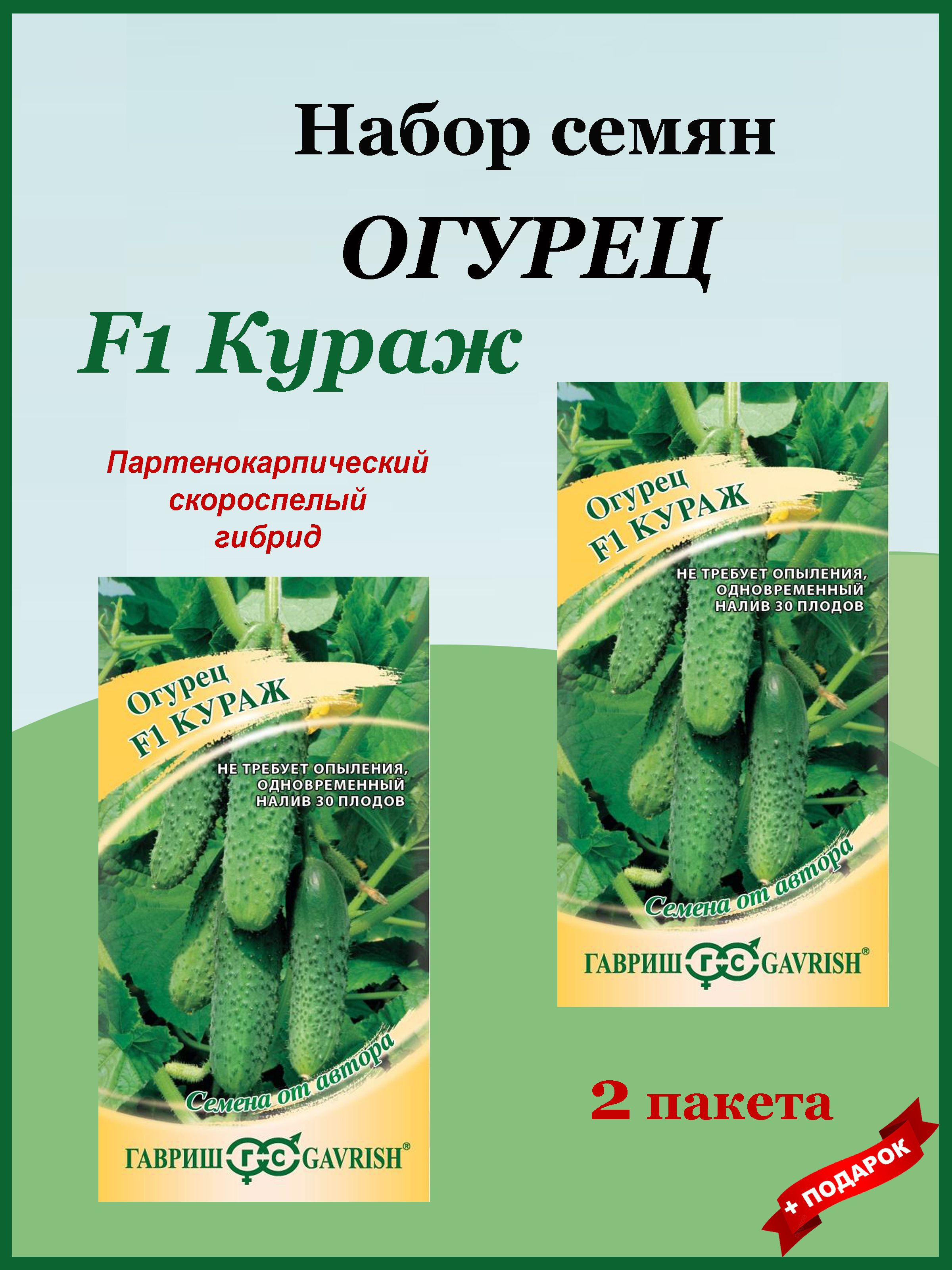 СеменаОгурецКуражF1(Гавриш)2пакетапо10семян,скороспелый,самоопыляемый