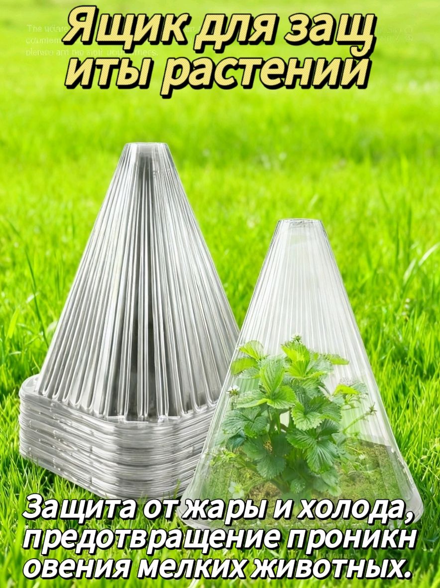 Кассетадлярассады
