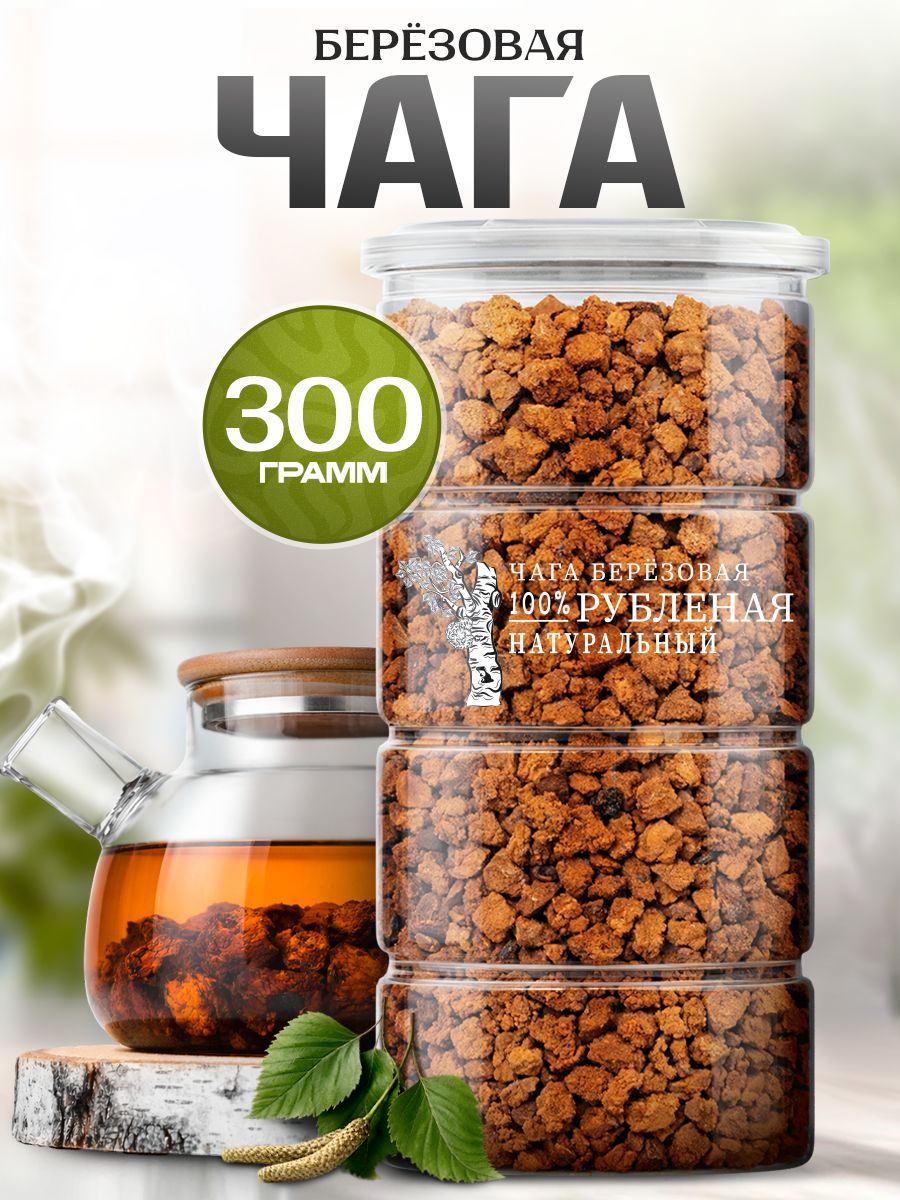 Березовая чага: природный секрет здоровья и долголетия