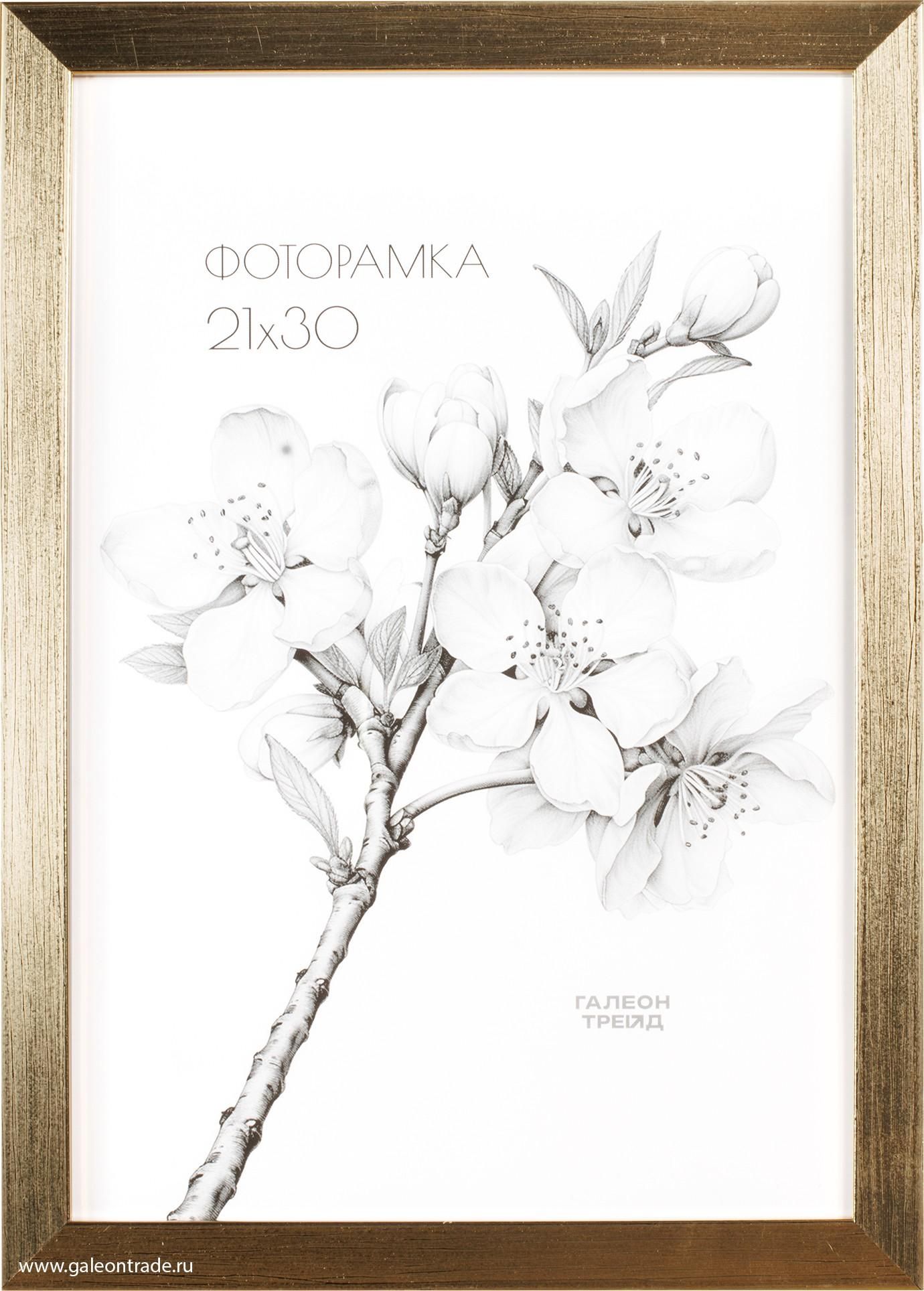 Фоторамка пластиковая 21 х 30 см, золотистая