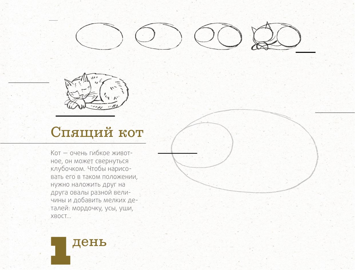 365 дней рисования. Пошаговые техники для начинающих художников | 365 jours de dessin - Ozon image 7