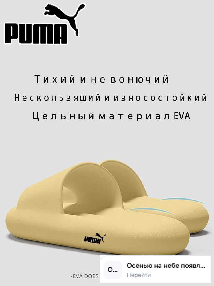 Сланцы #1