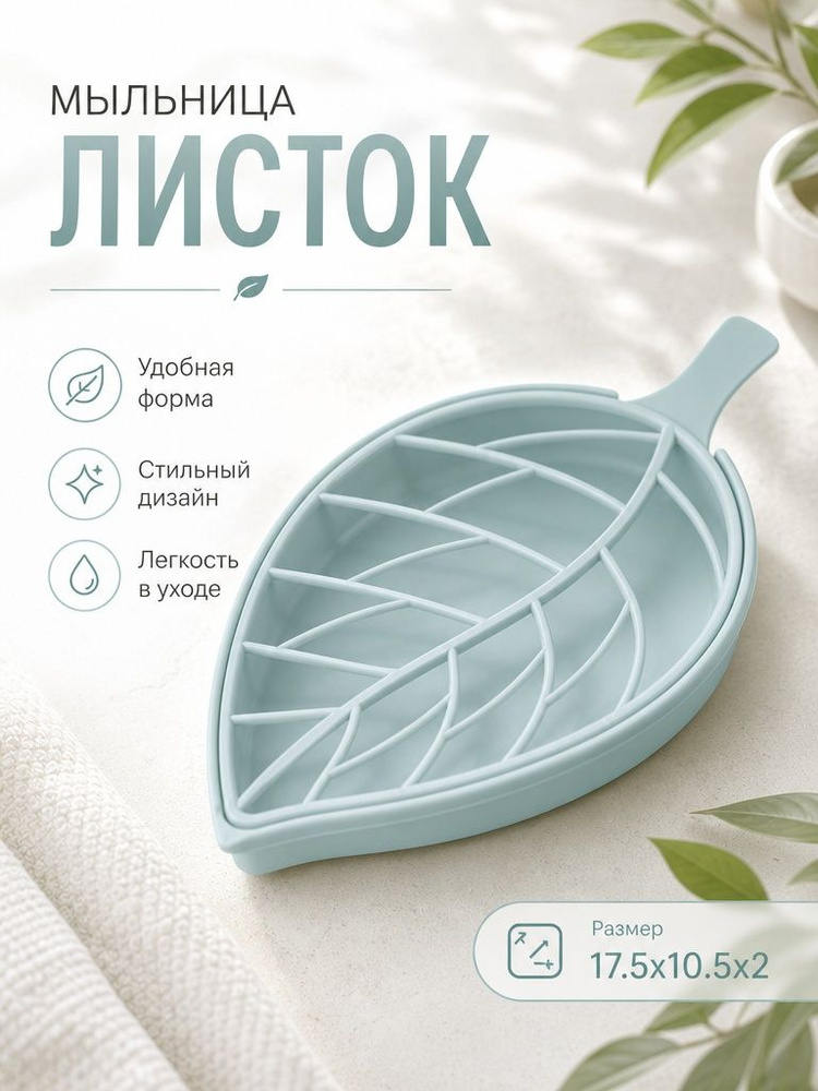 Мыльница #1