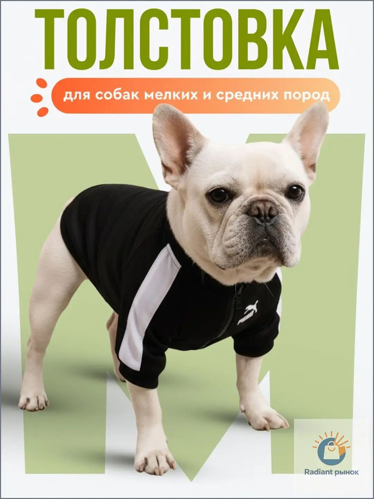 Одежда для животных #1