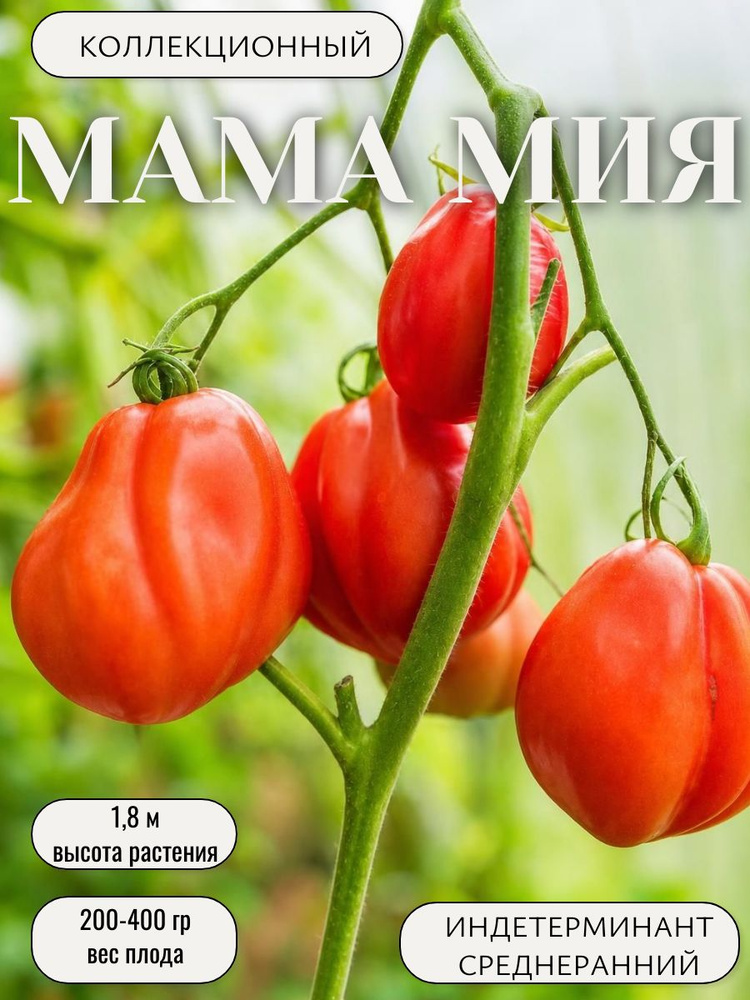 Семена #1
