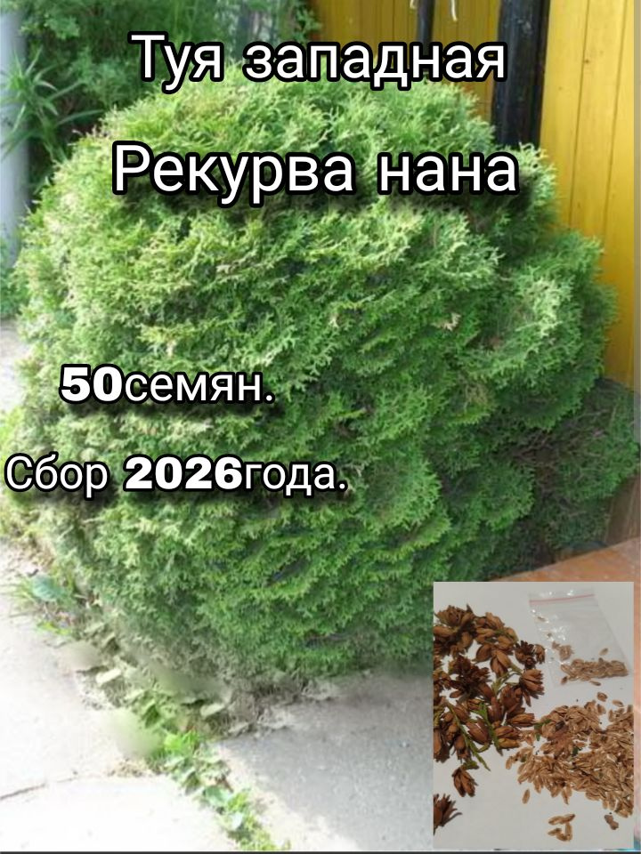 Семена #1