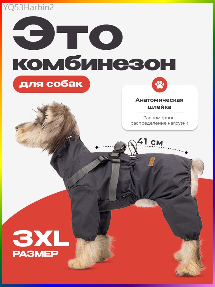 Одежда для животных #1