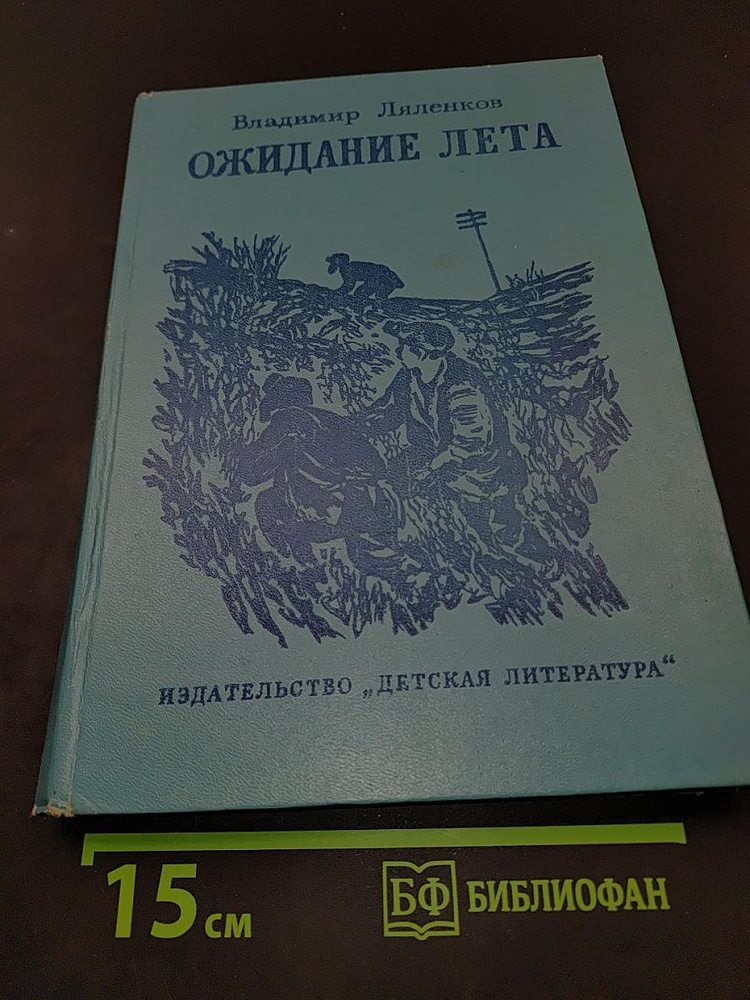 Ожидание лета | Книга б/у #1