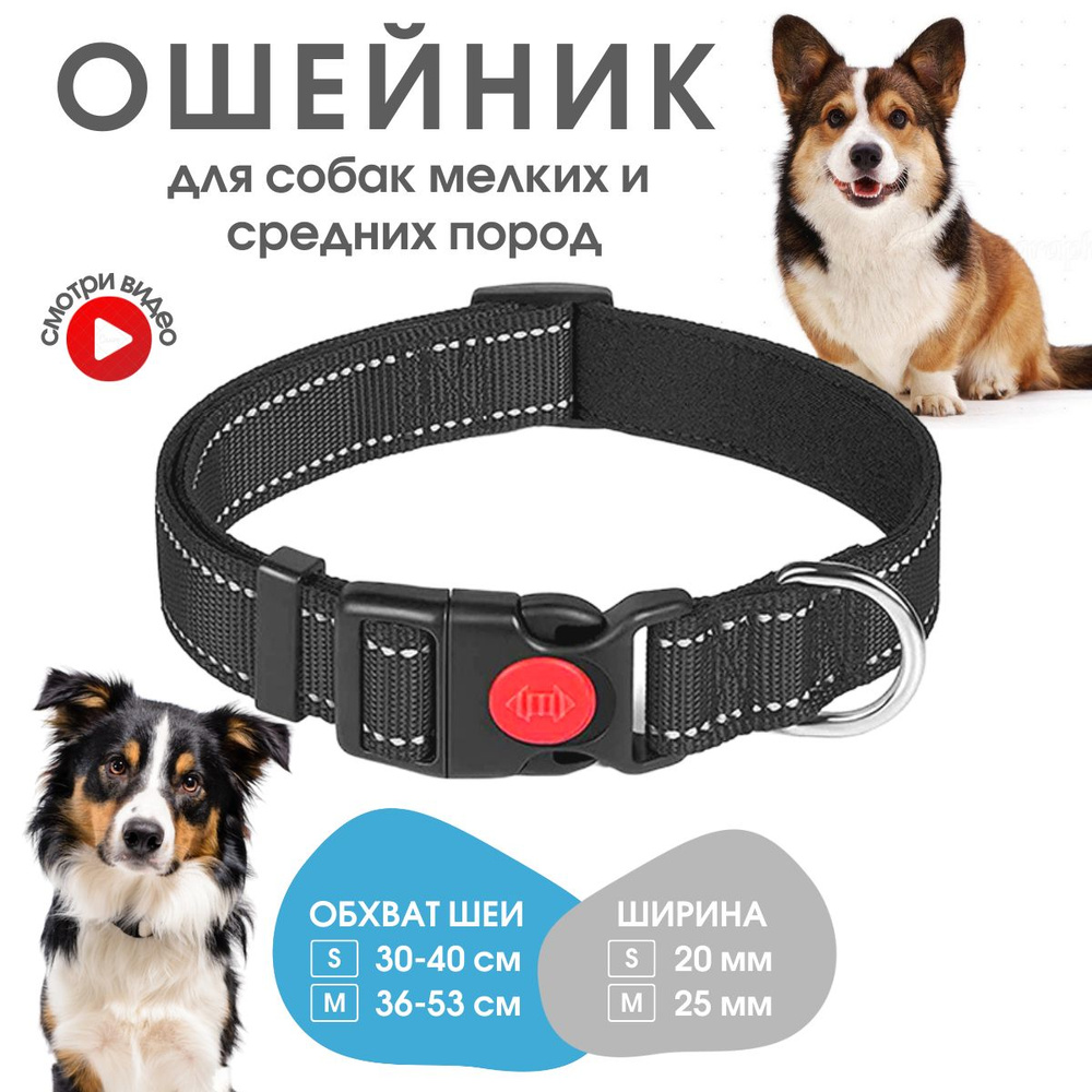 Ошейник #1
