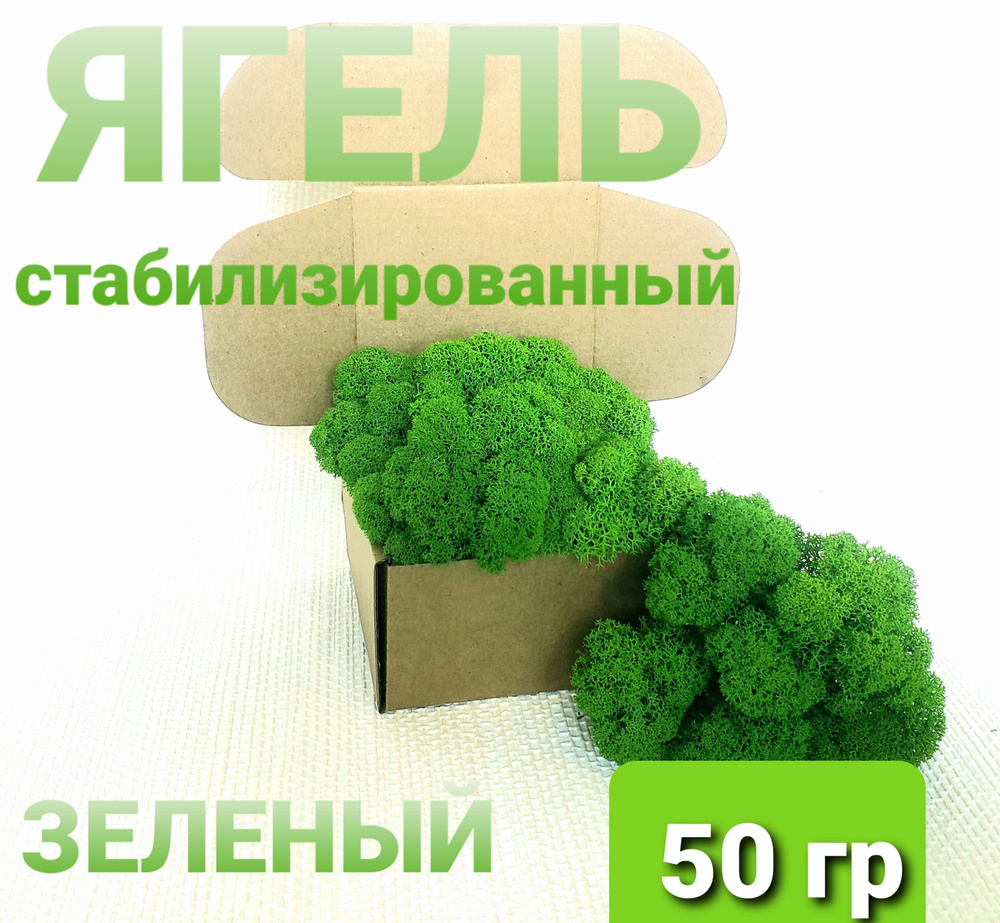 Стабилизированный мох, 50 гр #1