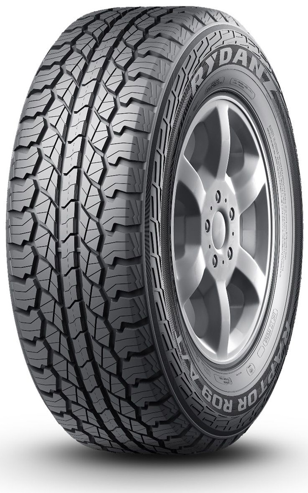 Rydanz Raptor R09 Шины  летние 245/75  R16 109S #1