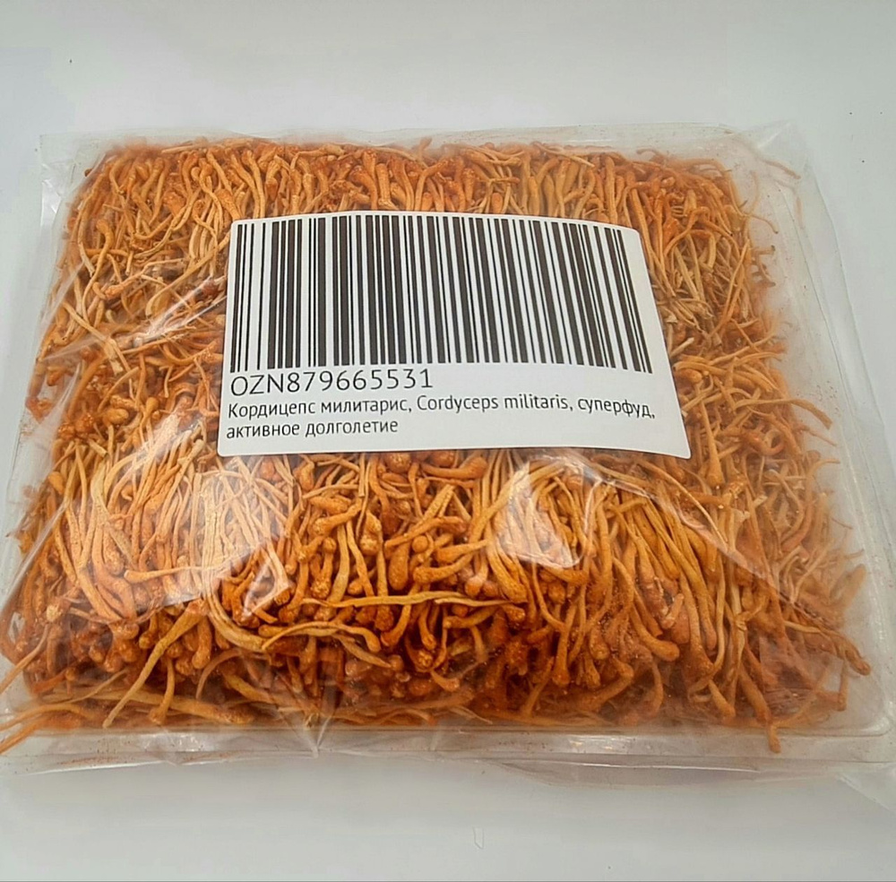 Кордицепс милитарис, 250 грамм, Cordyceps militaris, суперфуд, активное долголетие, мужская сила  #1