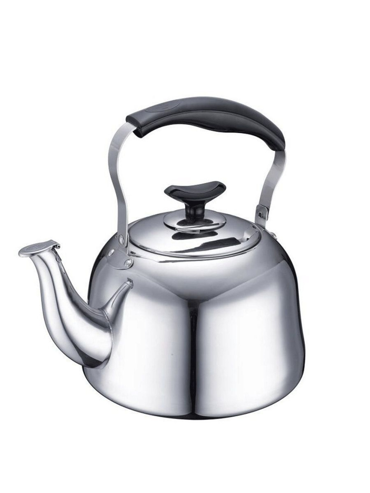 LineHaus Чайник Никелированный "Millennium - Тысячелетие", 4 л - купить ...