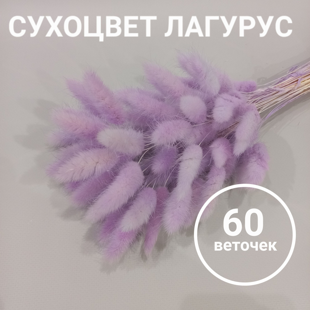 Букет из сухоцветов Лагурус, 55 см, 100 гр, 60 шт купить по выгодной ...