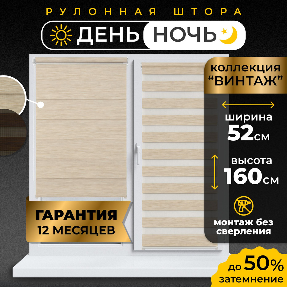 Рулонные шторы День-Ночь LmDecor 52х160 см жалюзи на окна 52 ширина, рольшторы  #1