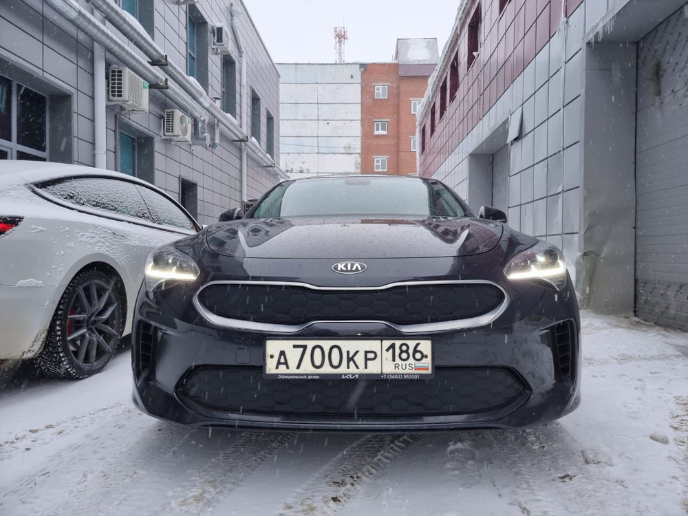 Утеплитель радиатора и бампера для Kia Stinger Киа Стингер (2017 -2021) I  #1