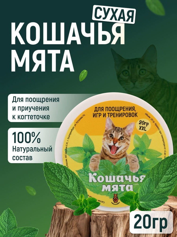 Кошачья мята 20 грамм / Лакомство для коррекции поведения и успокоительное  #1