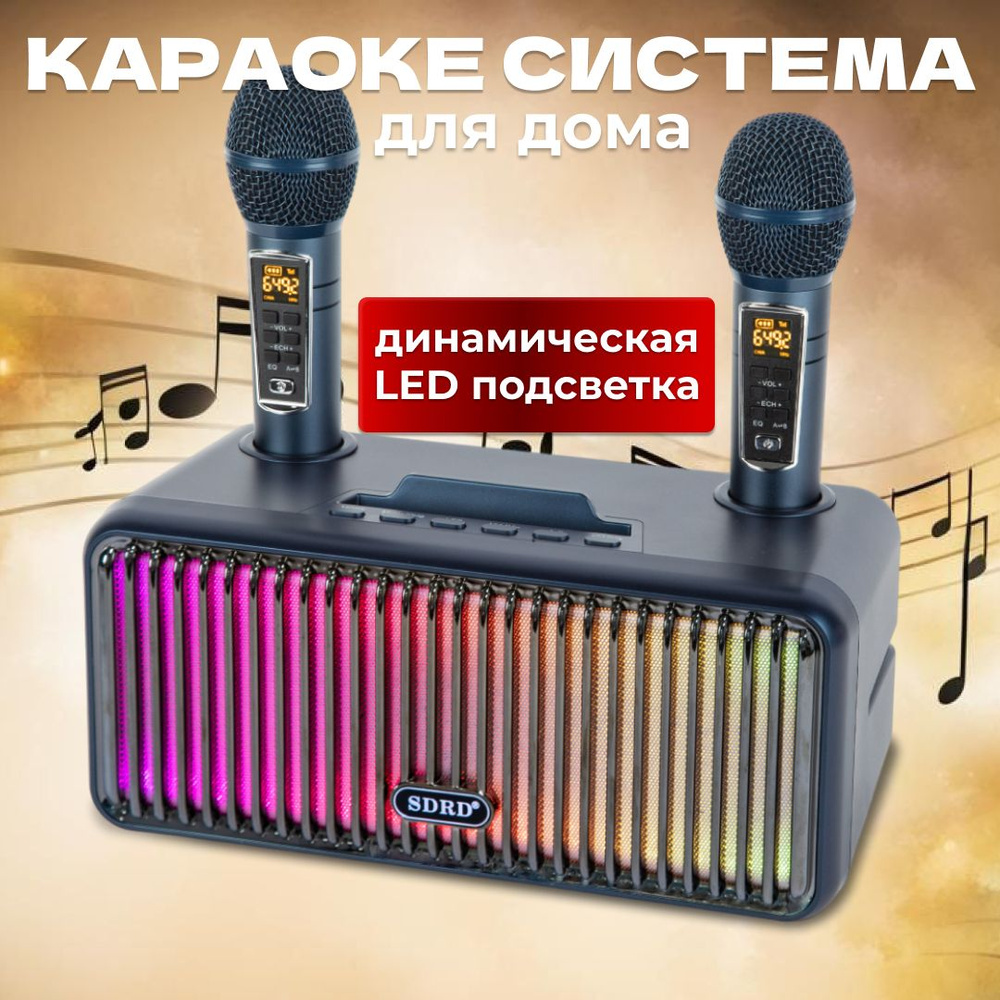 Караоке система для дома SDRD SD-319 Pro синяя двумя микрофонами для  взрослых и детей - купить с доставкой по выгодным ценам в интернет-магазине  OZON (1030272778)