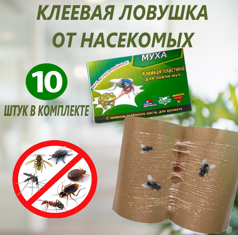 Клеевая ловушка от насекомых, Мухоловка, Клеевая ловушка с приманкой от  тараканов