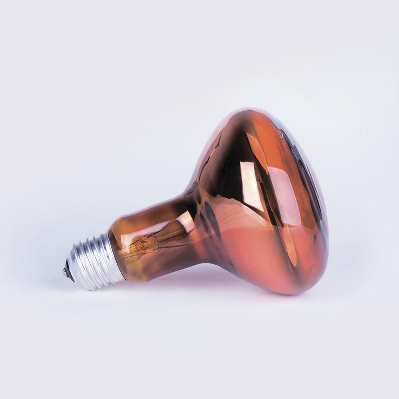 Лампа-термоизлучатель ИКЗК 230-60Вт R63 E27 (50) КЭЛЗ 8105041 #1