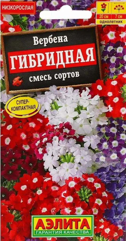 Семена Вербена гибридная, смесь сортов (40 семян) - Агрофирма Аэлита  #1