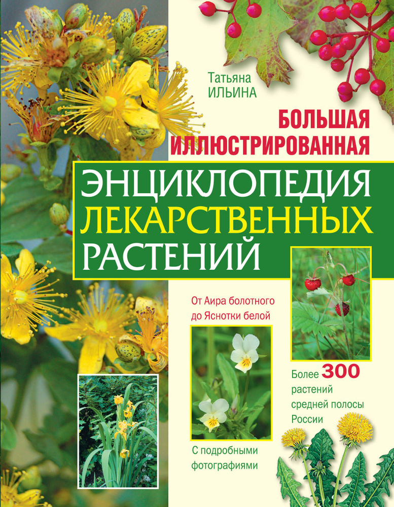 Большая иллюстрированная энциклопедия лекарственных растений  #1