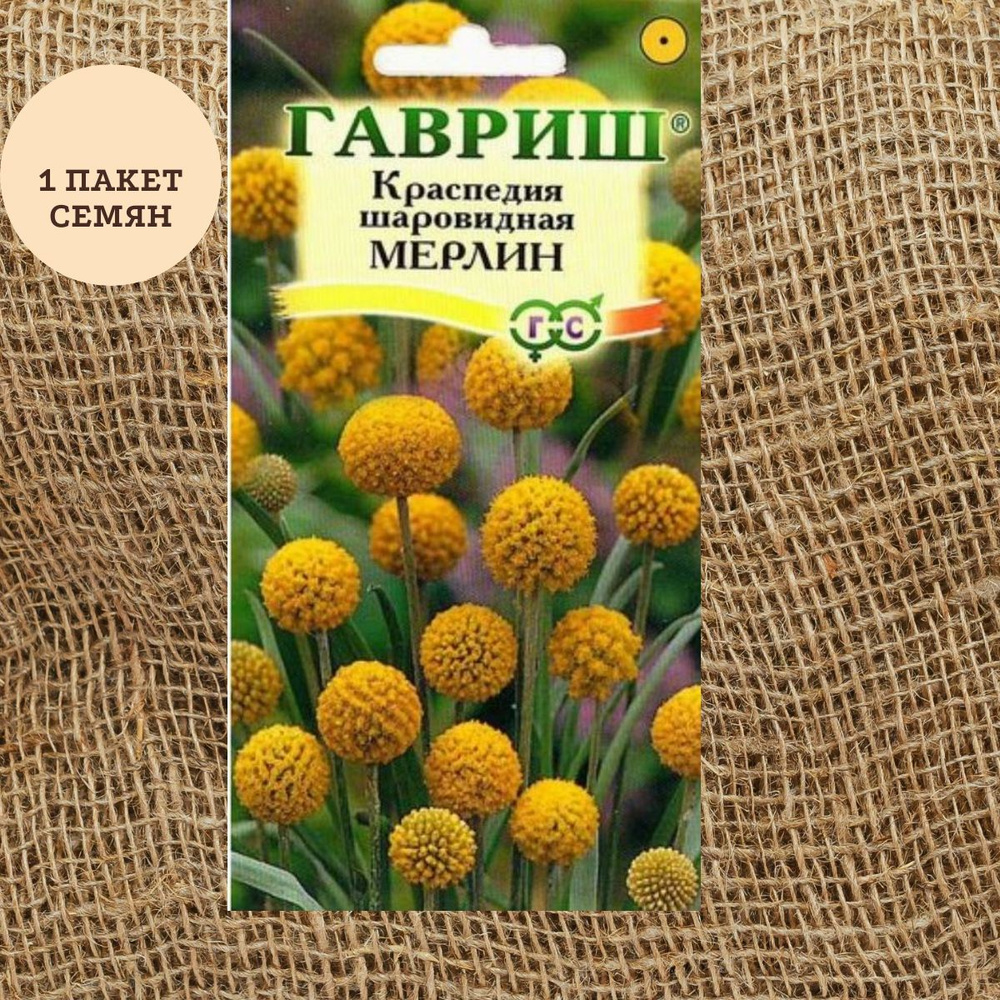 Гавриш Краспедия шаровидная Мерлин 5 шт. - купить по выгодным ценам в ...