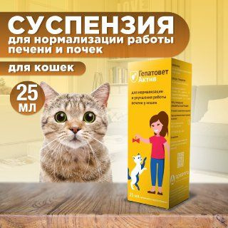 Apicenna Гепатовет Актив для кошек, суспензия для нормализации и улчшения работы печени, 25 мл. Метионин. #1