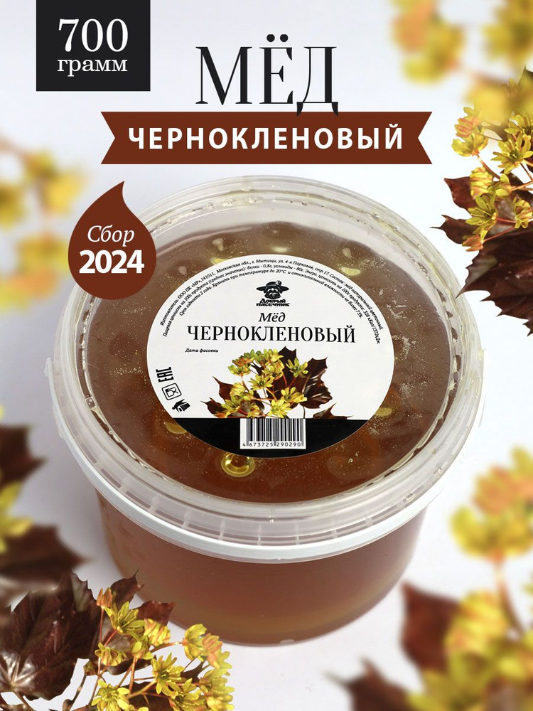 Чернокленовый мед 700 г, натуральный мед нового урожая, фермерский продукт, сладкий подарок, сладости #1